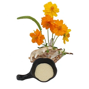Food Grade Gelatin Powder CAS 9000-70-8 Halal Gelatin for Foods