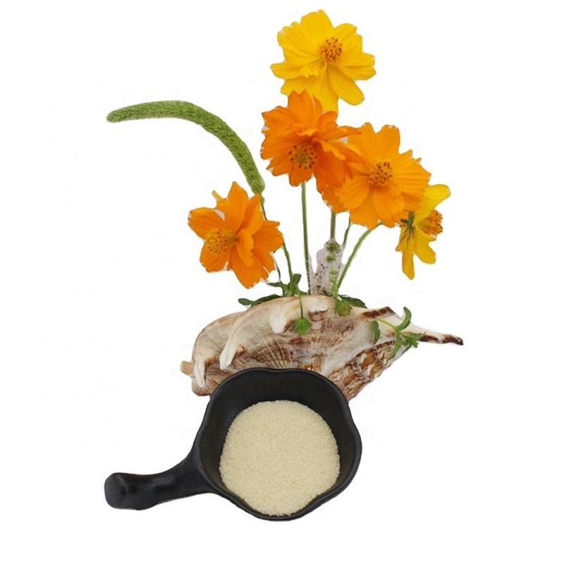 Food Grade Gelatin Powder CAS 9000-70-8 Halal Gelatin for Foods