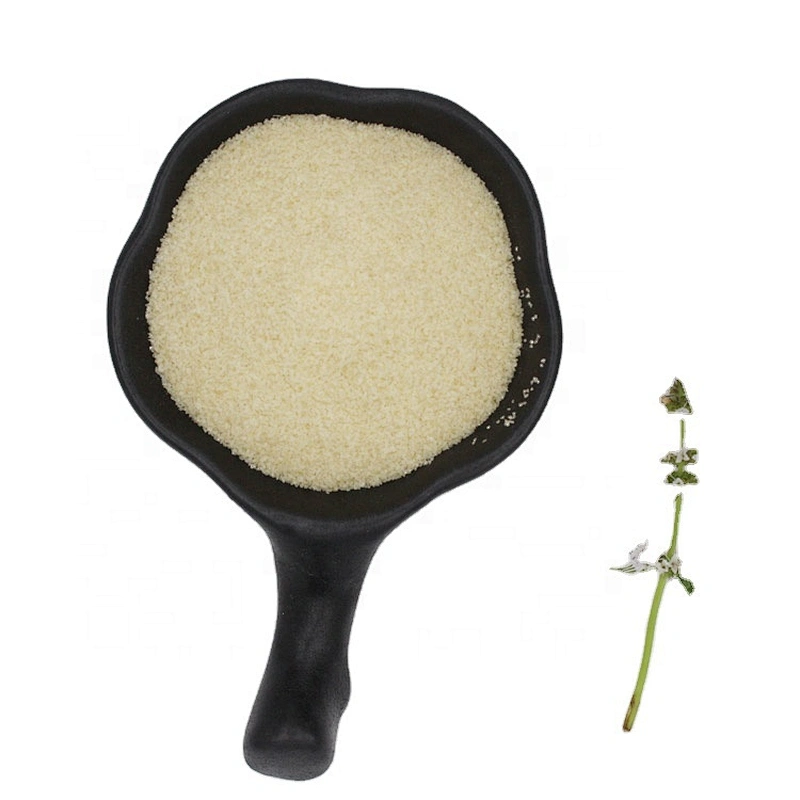 Food Grade Gelatin Powder CAS 9000-70-8 Halal Gelatin for Foods